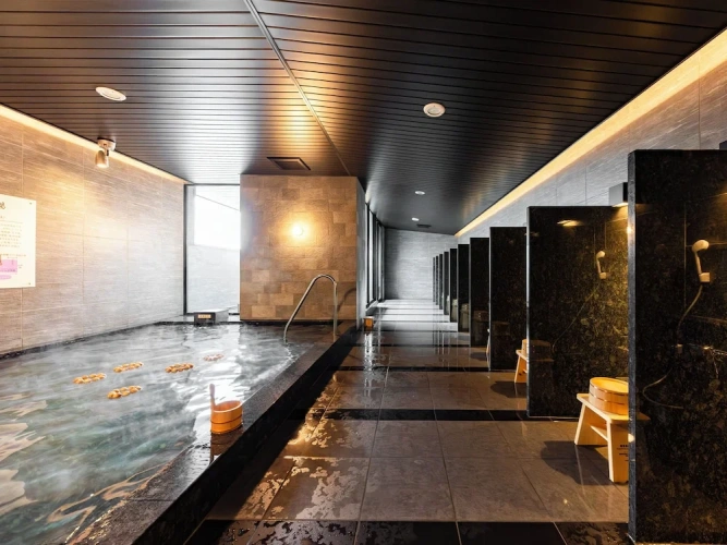 SUPER HOTEL Kirishima Natural Hot Spring