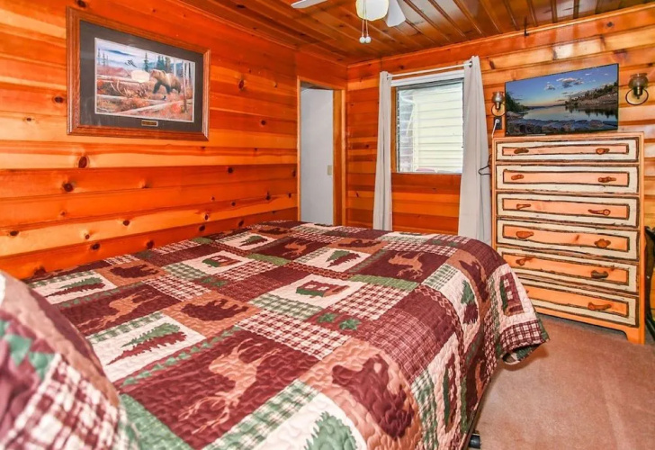 Pine Forest Cabin
