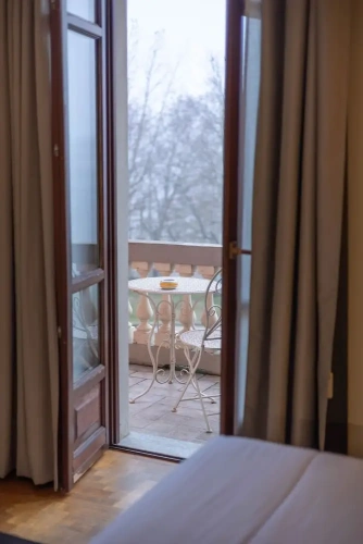 Standard Double room with balcony and with view