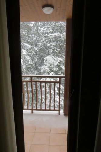 Snowdrop Studio