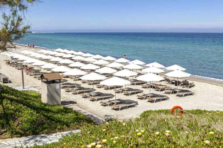 Neptune Luxury Resort photo 24