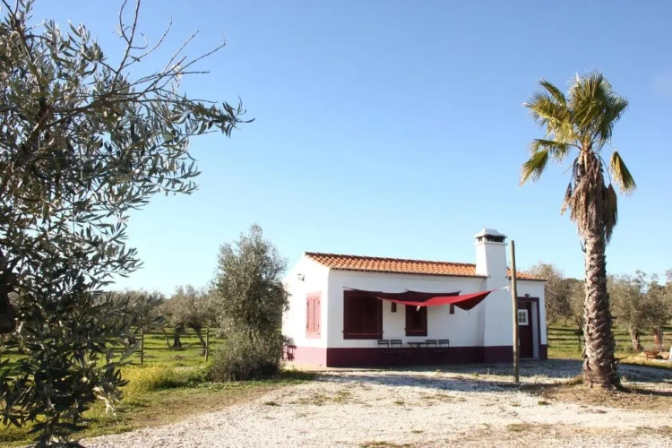 1 Bedroom Villa