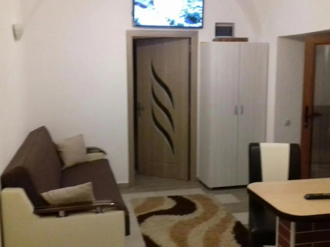 Apartament central V&P