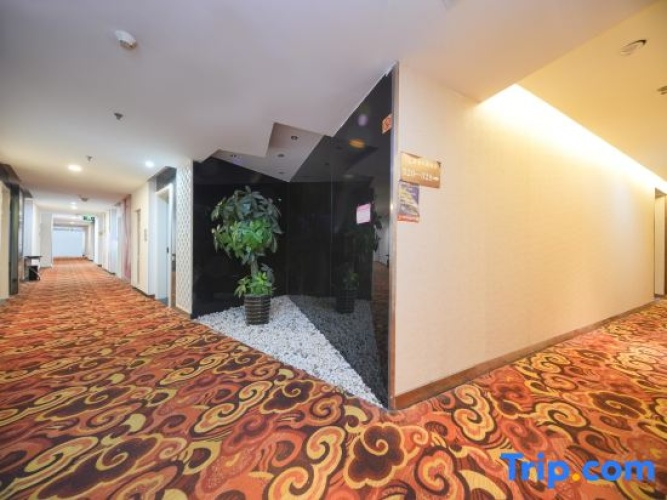 Hotel rooms