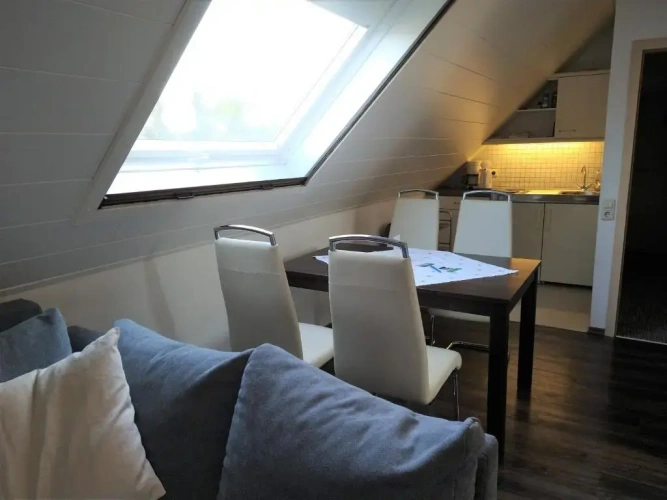 Double Apartment