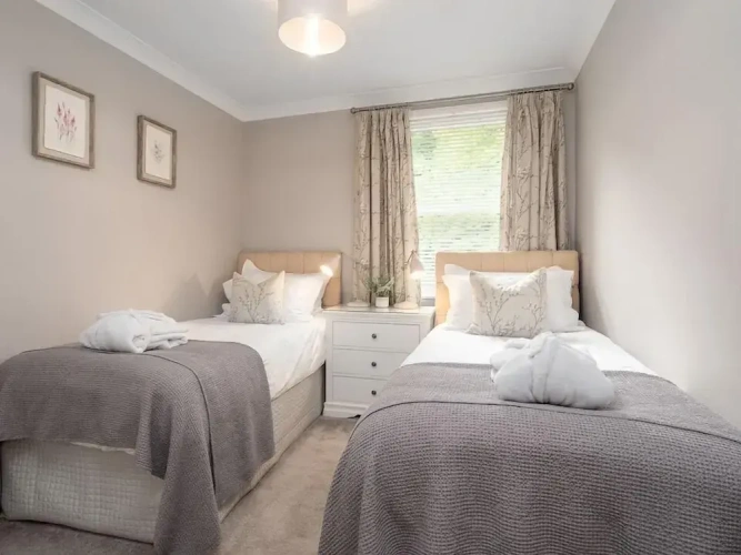 Luxury Apartment