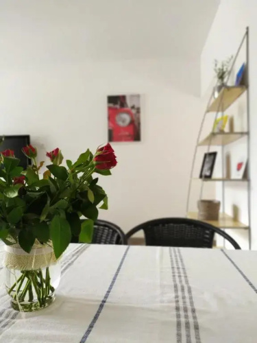 Sirály apartman