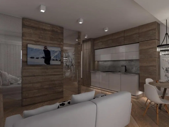 Deluxe Apartment