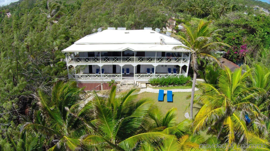 ECO Lifestyle & Lodge