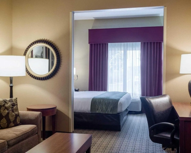Suite