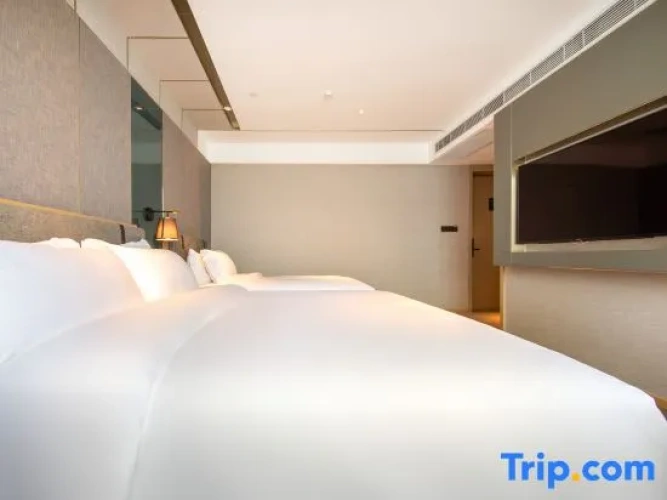 Superior Family Suite