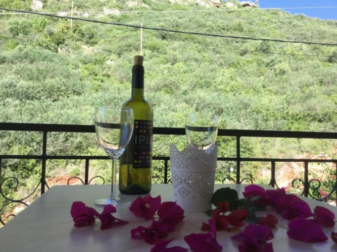 Superior Double room with mountain view