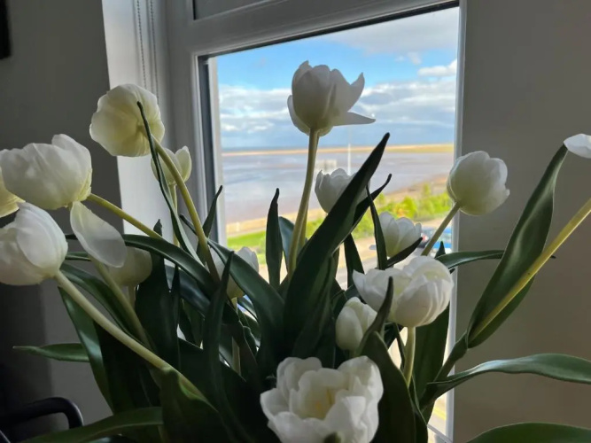 Seafront Luxury Apartment