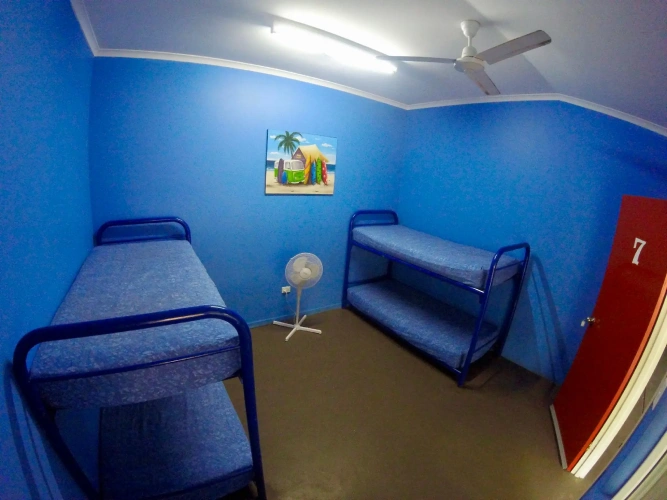 Bed in Dorm