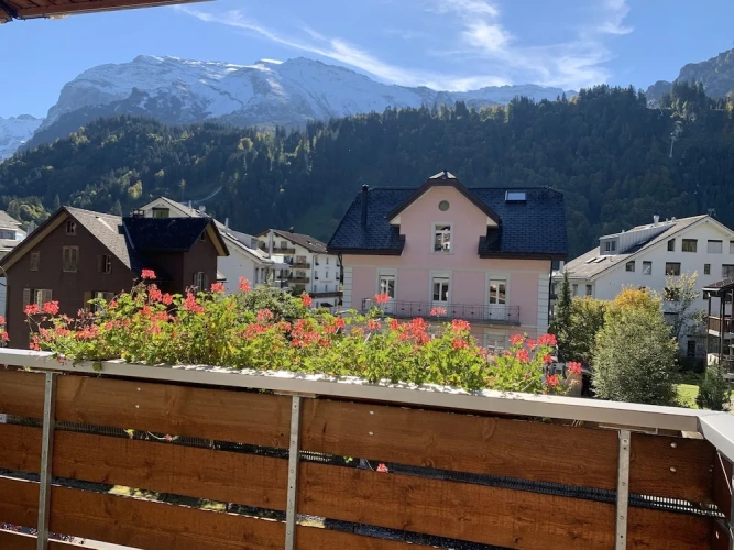 Standard Twin room with balcony and with mountain view