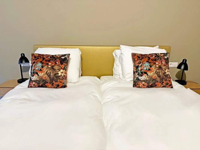 Modern Comfort Twin room