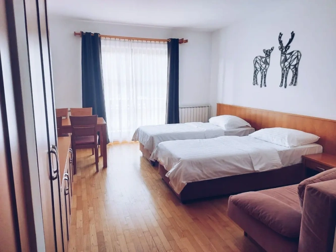 Deluxe Twin room with balcony