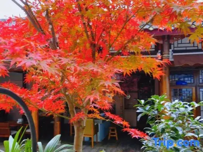 Oude·Hot Spring Private Hot Spring B&B (Chongzhou Street Ancient Town Branch)