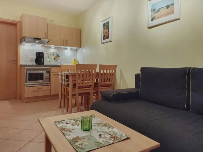 1 Bedroom Apartment