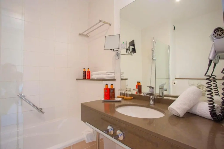 Standard Double room with balcony and with garden view