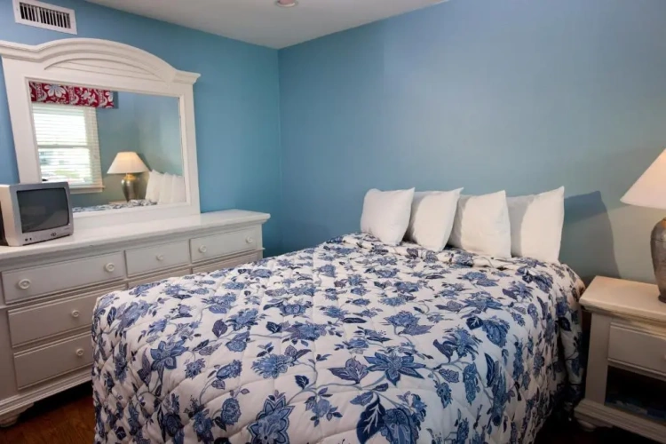 1 Bedroom Suite
