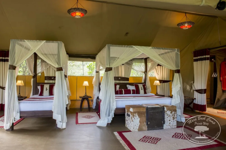 Mara Bush Camp - Private Wing