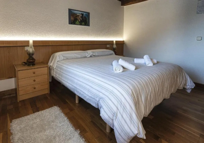 Standard Double room with lake view
