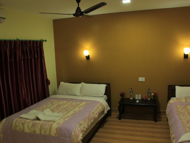Standard Double room with balcony and with view