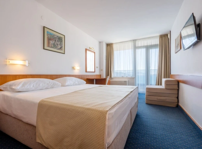 Standard Double room with balcony and with sea view