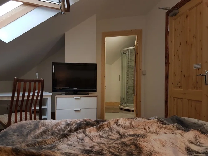 1 Bedroom Standard Double room