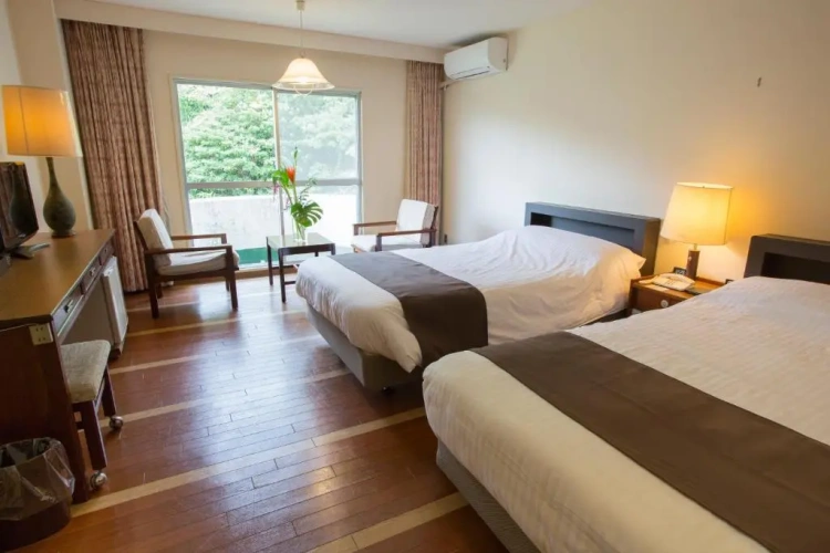 Standard Double room with mountain view