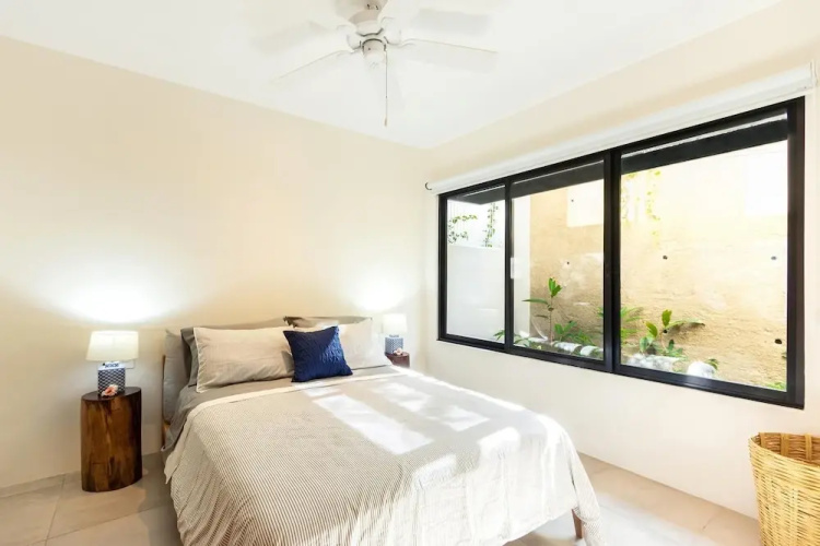 Agaves 204