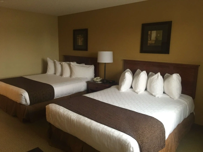 Quadruple Suite