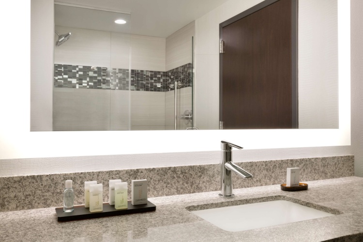 Embassy Suites by Hilton Atlanta NE Gwinnett Sugarloaf photo 10