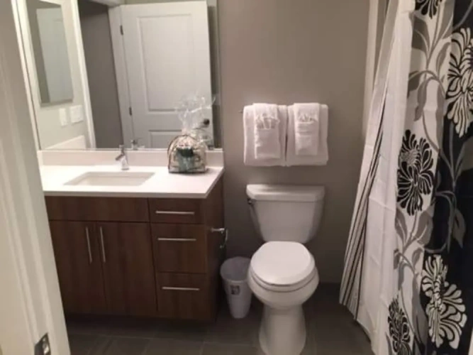 1 Bedroom Apartment