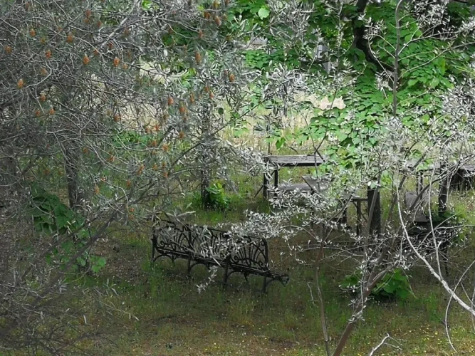 Cottage