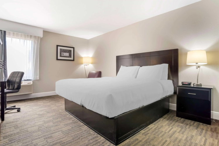 Best Western Bayou Inn