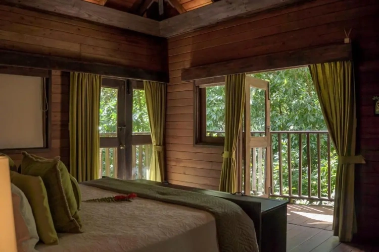 Superior Double Suite