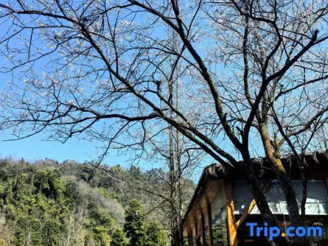 CLOUDS 13·Forest Hot Spring Resort