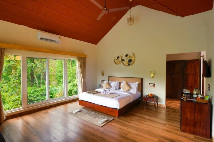 Premium room