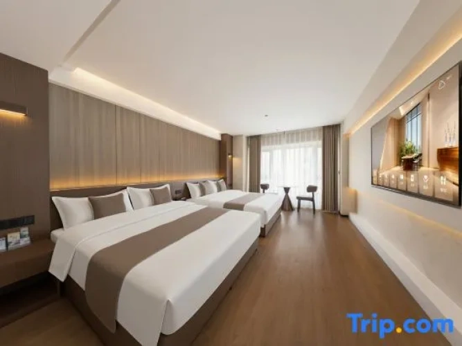 Standard Sextuple room