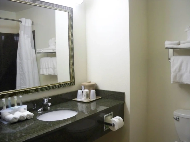 1 Bedroom Suite