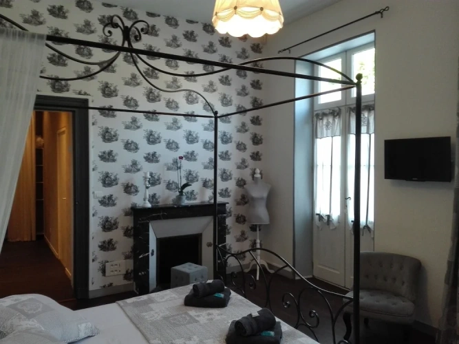 Superior Double room with park view