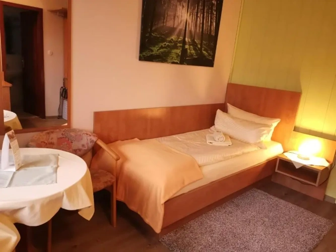 Standard Double room with balcony and with view