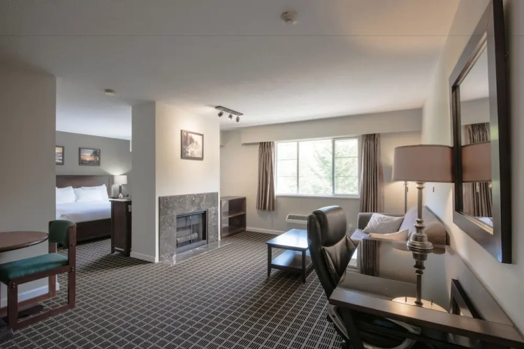 Deluxe Double Suite with park view