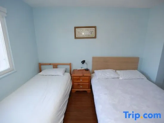 Comfort Suite