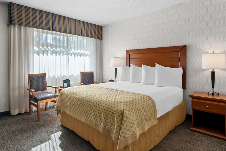 Quadruple Suite