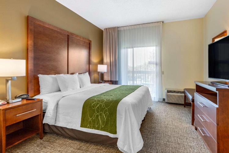 1 Bedroom Suite