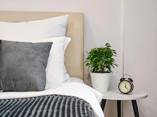 Фотография номера квартиры Jet life