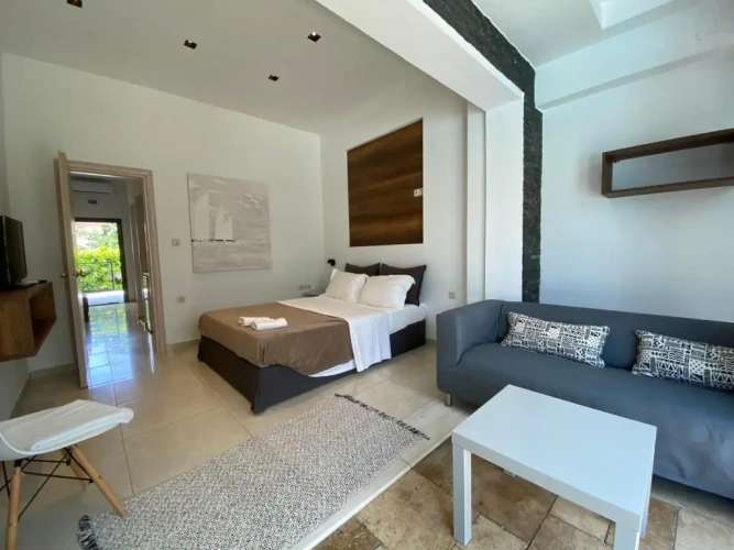 Deluxe Apartment